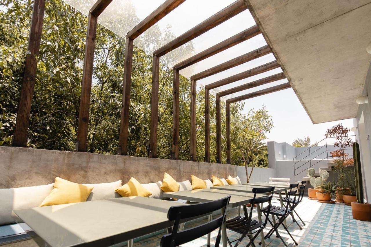 Beautiful New, Modern Condo In La Condesa! Мехико Экстерьер фото